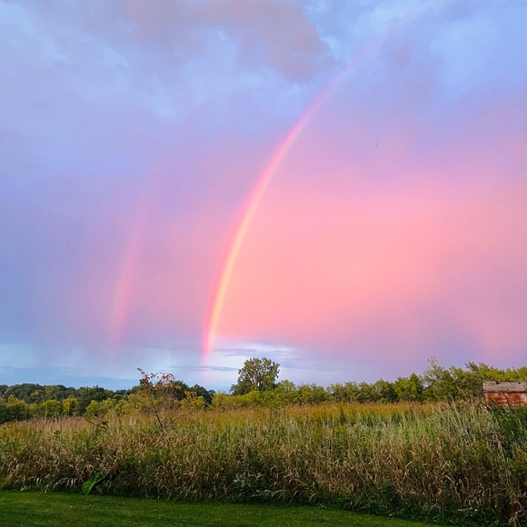 Meet your Posher, Patti - Picture 7 of 8